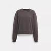 Coach Крем для одежды Crewneck Dye