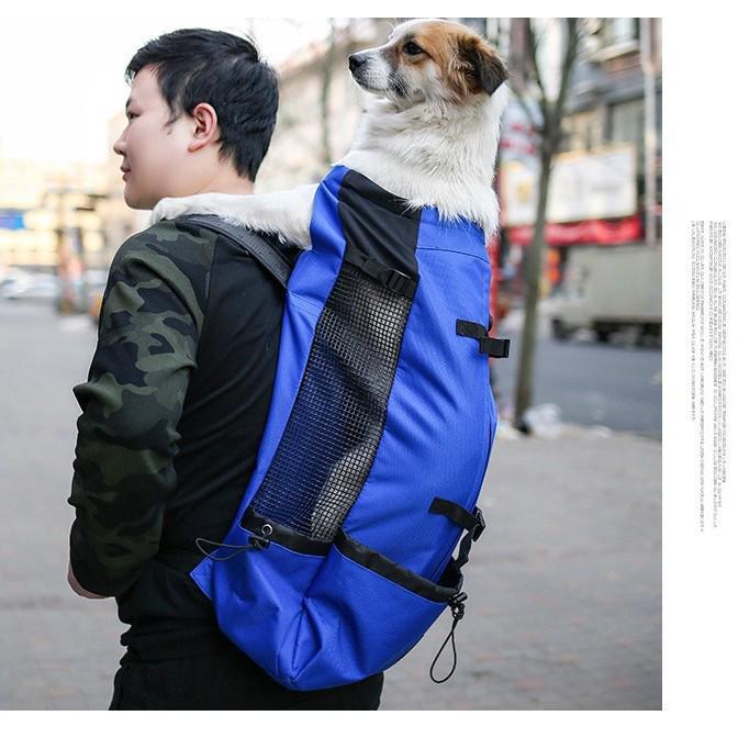 Двухплечевой туристический рюкзак для питомцев с вентиляцией для собак – Моющийся, идеально подходит для велопрогулок и покупок на свежем воздухе
