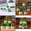 Creative Moss Miniature Artificial Cactus Cartoon Style Resin Garden Decor Piece