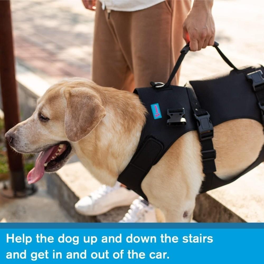 Full Body Support Dog Lift Harness Adjustable Dog Harness Help for Weak Hind Legs, Stairs & Cars