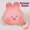 Игрушка-антистресс вишневый цвет, свинья, кролик, сжимающая игрушка-фиджет, мягкая игрушка для снятия стресса для детей и взрослых, подарок, реквизит J156