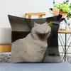 Cat FunnyAbstract Emoji Pillow Cover Removable  Washable Home Cushion Cover