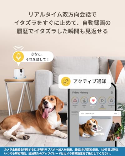 [Официальный] Furbo Mini 360° Обзор, Качество изображения 2K, Премиум-пакет с фиксированной ставкой | От бренда камер для питомцев, любимого 1,5 миллионами человек, эта компактная AI