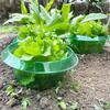 10PCS Round Plant Protection Covers Thickened Garden Cloches Pest Control Covers  Vegetable Plants