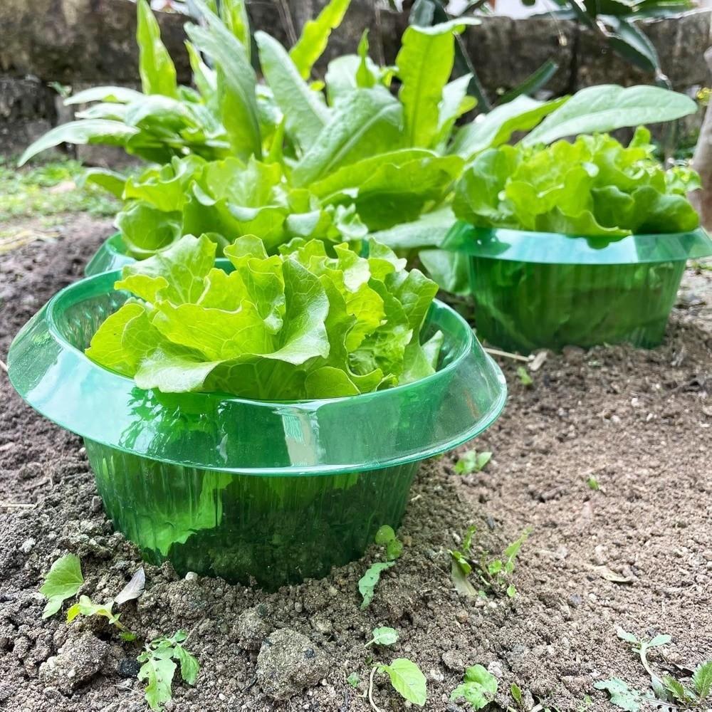 10PCS Round Plant Protection Covers Thickened Garden Cloches Pest Control Covers  Vegetable Plants