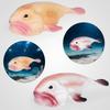 Сплошной крест Капля воды Рыба Симуляция Игрушка Модель - Бобо Морское Существо Украшение
