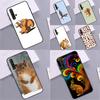 Мультяшное животное Белка Для Huawei Nova 7i 8i 11i 12i 12s 9 10 SE Y90 Y60 Y70 Y72 Y61 Y91 P30 P40 Lite P60 Pro Чехол