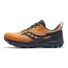 Peregrine 14 Gtx Многофункциональные профессиональные кроссовки для трейлраннинга Мужские кроссовки Оранжевый Темно-серый S20918-253