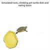 Гусеничный резервуар для воды, Бассейн для еды, Черепаха, Наземная черепаха, Водяная черепаха, Ящерица, Змеиный резервуар для воды, Маленький круглый резервуар для воды, Маленькое блюдо из черепахи