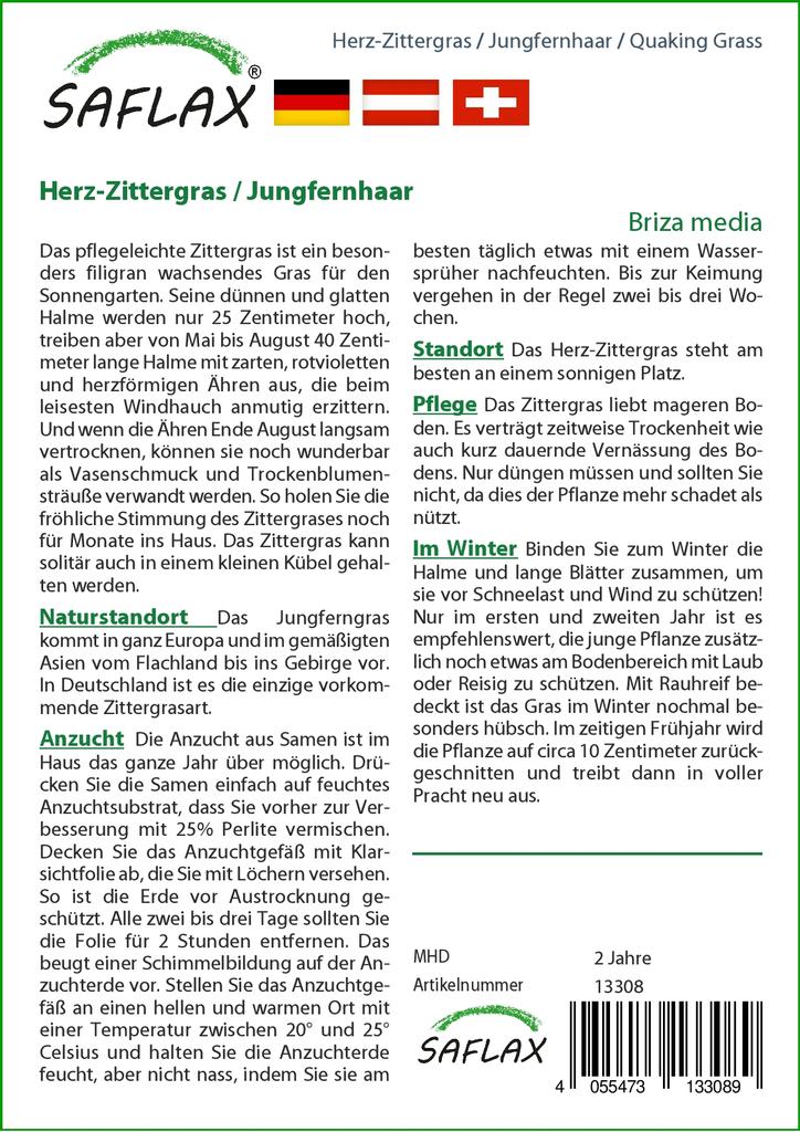 SAFLAX Трава трясущаяся - 75 семян - Бриза медиа