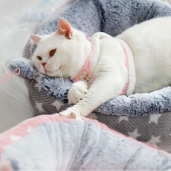 1 комплект поводка для домашних животных, мягкая ручка, застежка, лента, пряжка, дизайн, защита от побега, устойчивая к разрыву мягкая подкладка