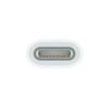 Apple USB-C To Apple Pencil Adapter - Compatible with iPad 10th Generation