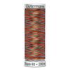 Machine Embroidery Thread - GUTERMANN - 709700 - Set of 5 - 40 - Shipped from France