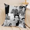 DDylan O Brien Cushion Cover Silky Short Plush Invisible Zipper Dustproof Sofa Pillow Case For Home Decor