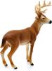 Schleich Wildlife Deer Ages Realistic Animal Toy 14818 White-tailed (Male) Figurine, 3+,