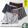 Мужские боксеры-брифы средней посадки больших размеров Vitality Stripes - Антибактериальное, дышащее нижнее белье из синьцзянского хлопка