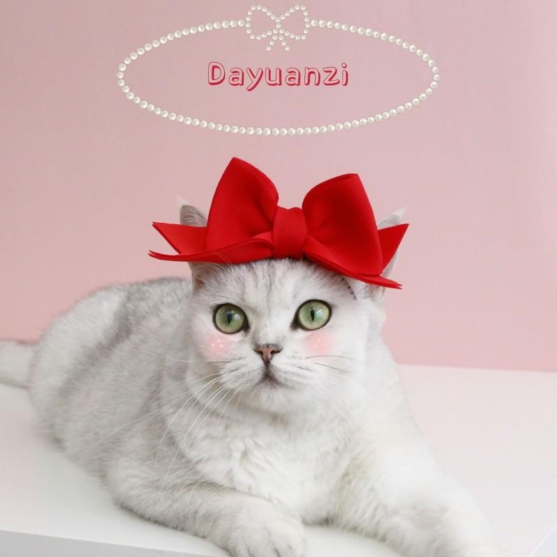 Pet Cat Dog Hairband With Handmade 3D Bow Crown Headpiece Birthday Wedding Party Princess Style Accessory