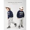 Boys' Sweatshirt for Spring and Autumn, Toddler Top, Spring 2026 New Round-Neck Clothing, Children's Wear
