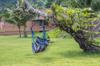 Brazilian chair swing garden hammock cocoon hanging chair father's day