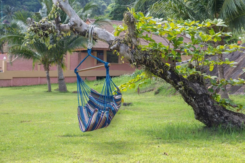 Brazilian chair swing garden hammock cocoon hanging chair father's day