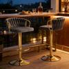 Elegant Coffee Chair, Soft Cushion Table Stool, Comfortable Seats, Bar Stool, Kitchen Chair, Coffee Chair (Only Set of 2 Bar Stools)