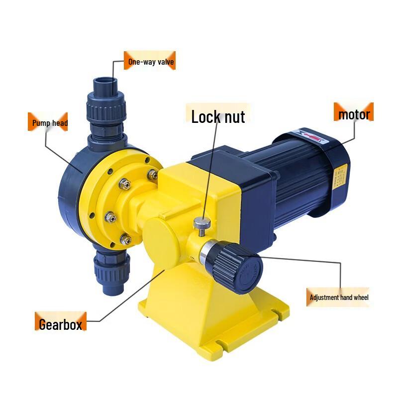 Bangwo GWM100L Diaphragm Metering Pump