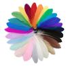20Pcs Colorful Hard Stick Goose Feather 6-8inch/15-20cm Natural Swan Crafts Plumes  Table Centerpieces Feathers for Decoration