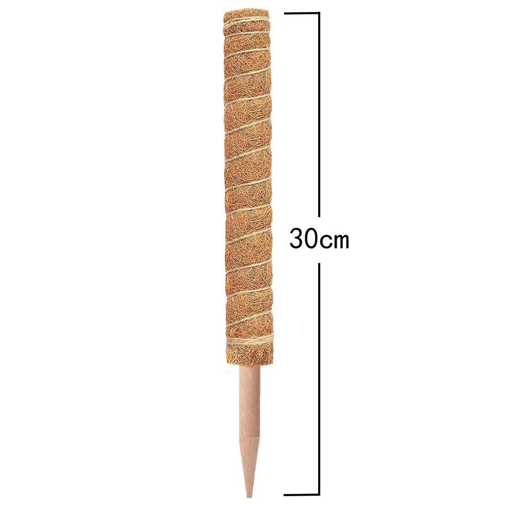 Coconut Palm Stick for Indoor Climbing Plants: Ideal for Potted Greenery and Vines