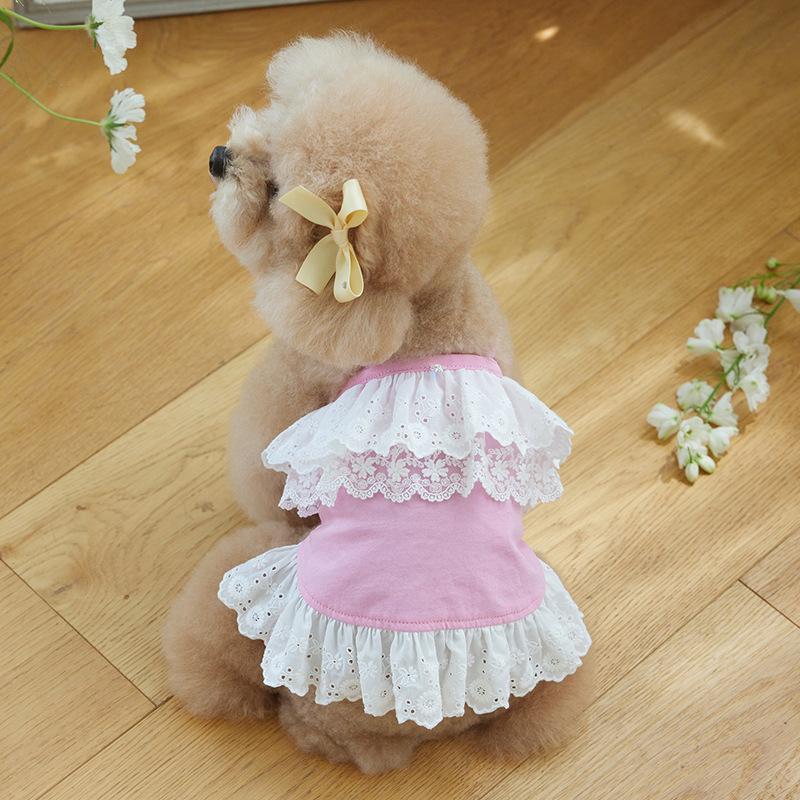 Pet Dog Dog Cat Clothing Teddy Bigbear Fighting Corgi Schnauzer Small and Medium Dogs Spring Summer Lace Dress