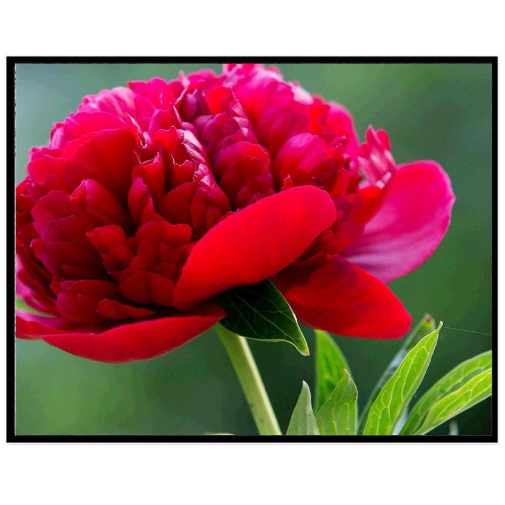 5D алмазная живопись Роза Ваза Diy декоративная алмазная живопись птица цветок вышивка крестиком садовая Алмазная вышивка украшение дома