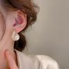1Pair New Earrings Trendy Earrings Pearls Water Drop Earrings Fashionable Temperament Female Korean Earring
