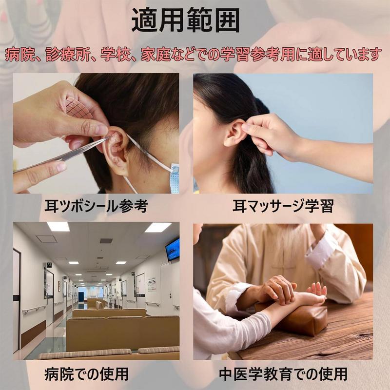 Модель рефлекторной зоны уха, рефлекторная зона, анатомия уха, демонстрационная модель, школьный класс, лекционный реквизит, для начинающих и профессионалов, учебное пособие