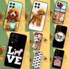 Милый Мультяшный Пудель Для Samsung Galaxy M33 M53 M23 M13 M11 M51 M14 M34 M54 M20 M30s M12 M32 M52 M15 M55 Чехол