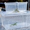 Transparent Turtle Transport Container Ventilated Reptile Terrarium Animal Habitat Cage  Pet House