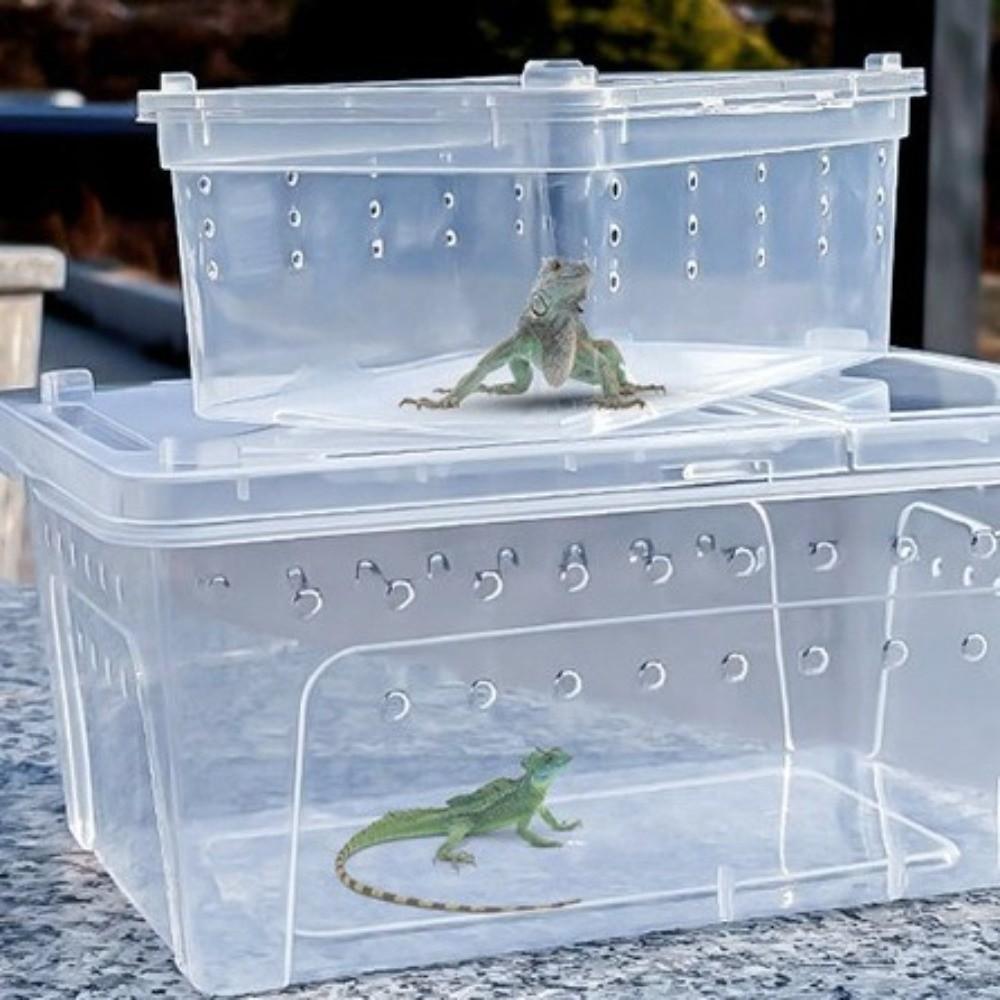 Transparent Turtle Transport Container Ventilated Reptile Terrarium Animal Habitat Cage  Pet House