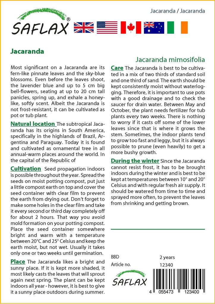 SAFLAX Jacaranda - 50 семян - С горшечным субстратом для лучшего выращивания - Jacaranda mimosifolia