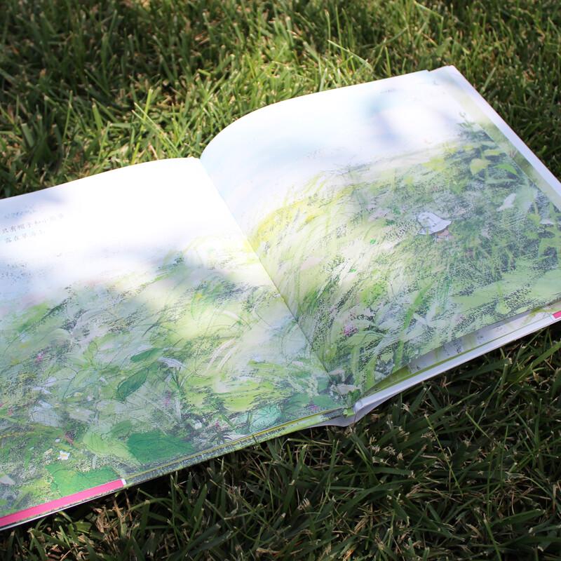 Komako Sakai Picture Books