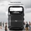 Портативная Bluetooth KTV колонка aigo T52 Штепсель CN (адаптер в комплекте)