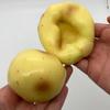 Креативная картошка Сквиши Игрушка-антистресс Строительный блок Наполнение Без отскока Игрушка для сжатия АСМР Сенсорные Игрушки против стресса Для взрослых