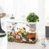Transparent Desktop Aquarium with Lid Turtle Tank Durable Ecological Water Tank  for Home