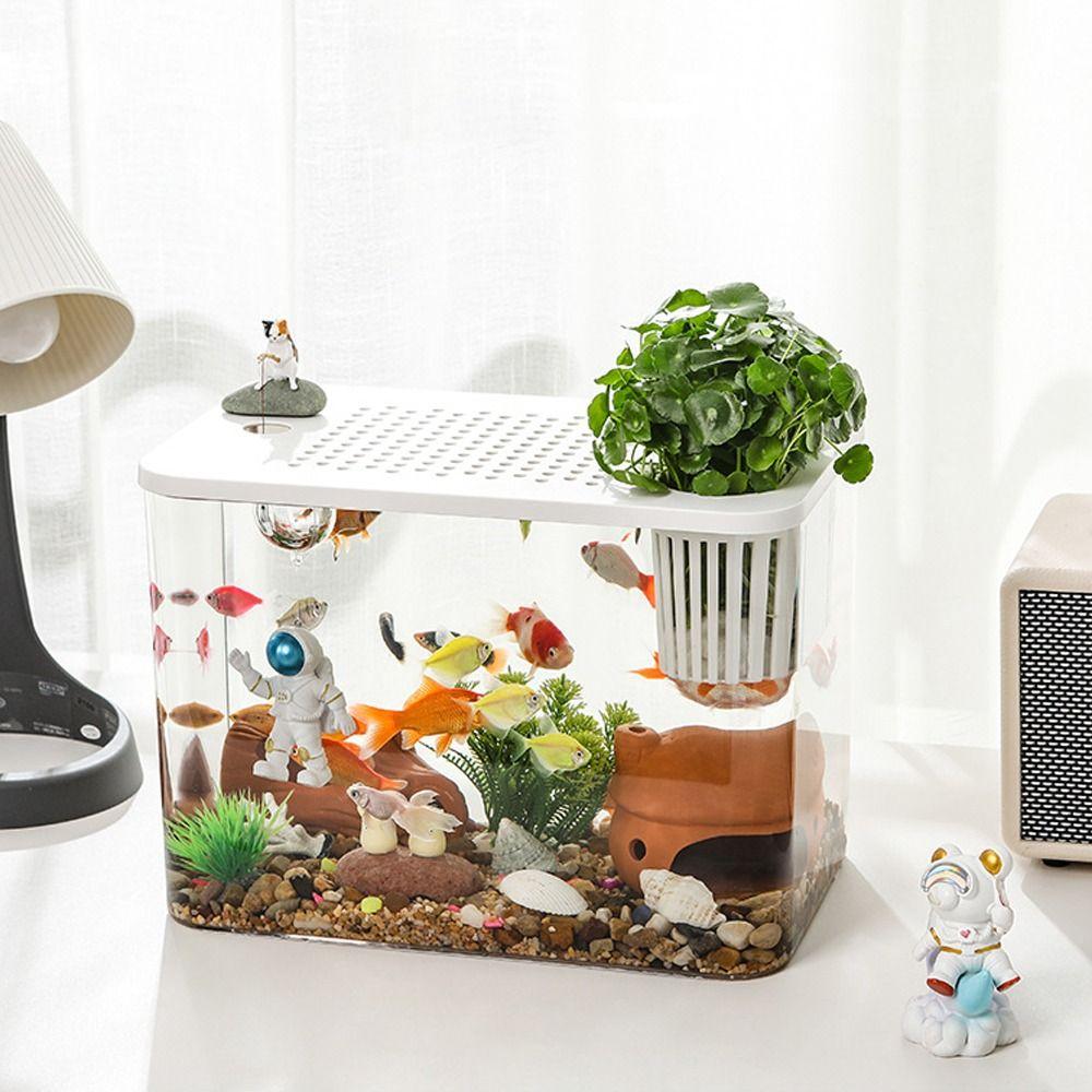 Transparent Desktop Aquarium with Lid Turtle Tank Durable Ecological Water Tank for Home