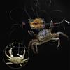 Crab Catcher Catching hookfor Shrimping Portable Net Basket Fishing Trap for Minnows Crawfish Shrimp Crab