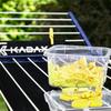 KADAX Klamerki Do Prania Spinacze Na Bieliznę Pranie Żabki 50 szt + Pojemnik