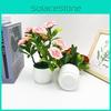 Flower Rose Plastic Fake Potted Plant Bonsai For Tabletop Decor And Use Event