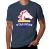 Футболка Salvatore Stallions Legacies Tvd The Originals Повседневная Свободная с Коротким Рукавом Для Унисекса
