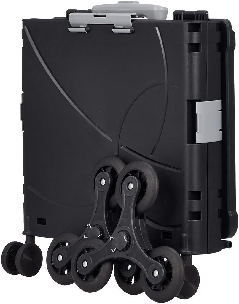 Compact Carry Case Ranger 36L