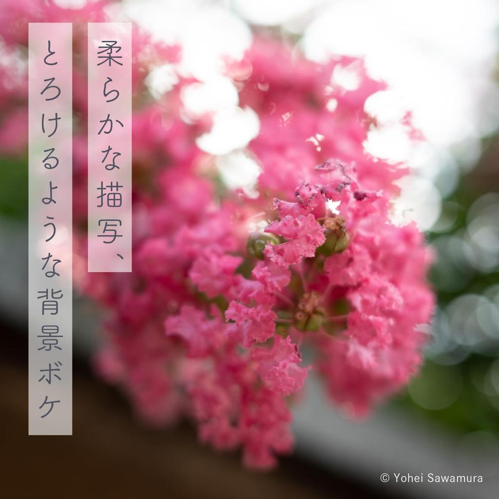 Nikon NIKKOR Z 40mm prime Z black f/2 lens, mount, full-frame compatible,