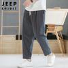 Мужские свободные прямые укороченные повседневные брюки JEEP SPIRIT
