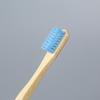 Eco-Friendly Bamboo Toothbrush Set with Colored Charcoal Bristles