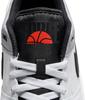 Кроссовки Nike Full Force Low (FB1362-101) white/pewter/sail/black